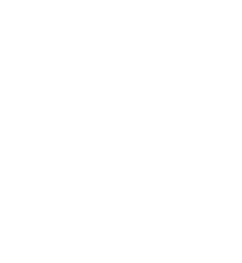 daily test number